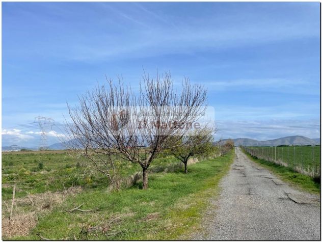 roma est terreno agricolo di 27 ettari - Foto 4