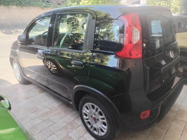 Fiat Panda 1.0 FireFly S&S Hybrid - Foto 3