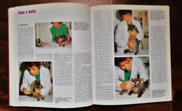 CONOSCERE IL GATTO - Foto 4