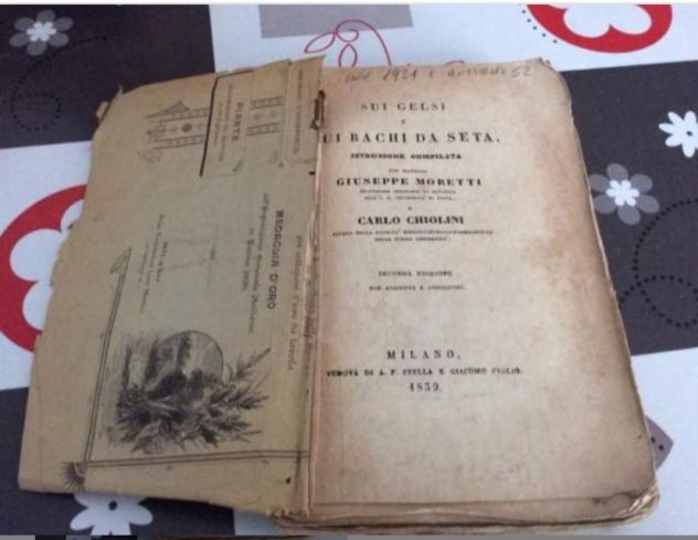 Moretti/ Chiolini  Sui gelsi e sui bachi da seta 1839
