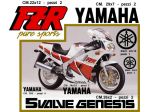 Adesivi yamaha fzr pure sports