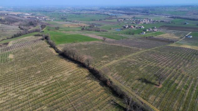 Terreno di 400000 m² in vendita a Piacenza - Foto 4