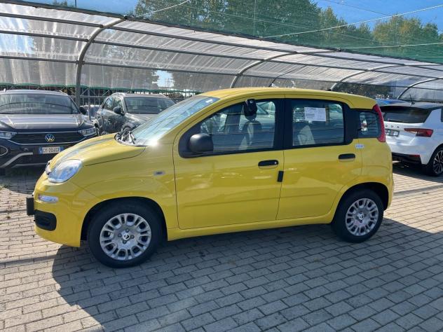 FIAT Pandina Pandina 1.0 firefly hybrid Icon s&s 65cv - Foto 6