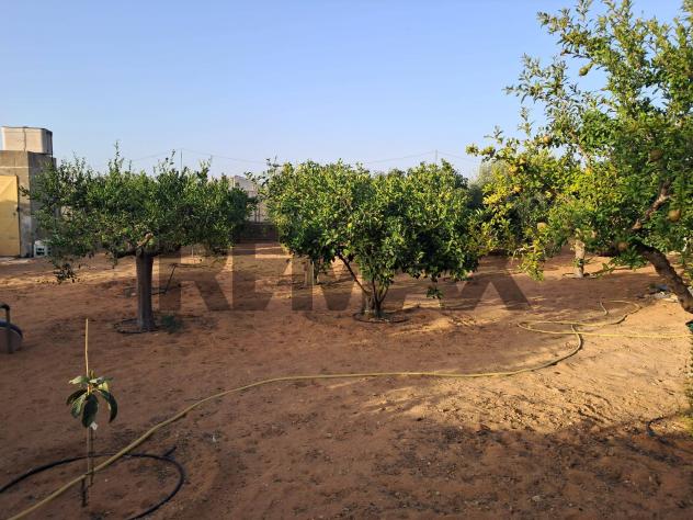Villa o villino in vendita a Ragusa, Punta Braccetto - Foto 2