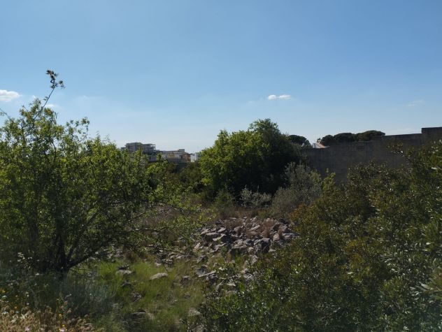Terreno edificabile