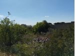 Terreno edificabile