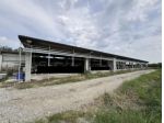411/2024 U BS - fabbricati rurali all'asta a Chiari