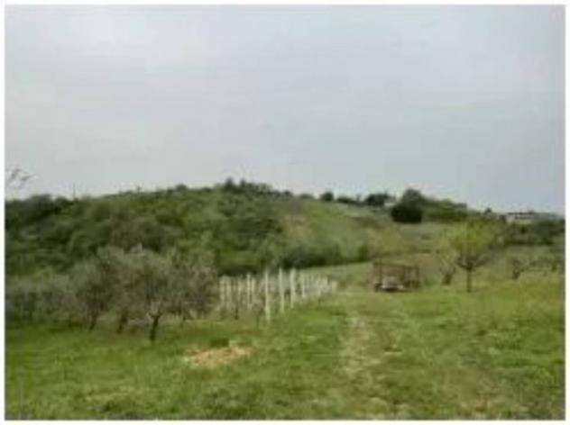 Immobile in asta di 11603 m² in vendita a Ruoti - Foto 4