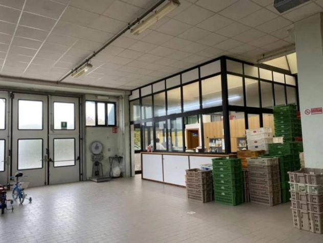 Immobile in asta di 1071 m² in vendita a Serravalle Sesia - Foto 12