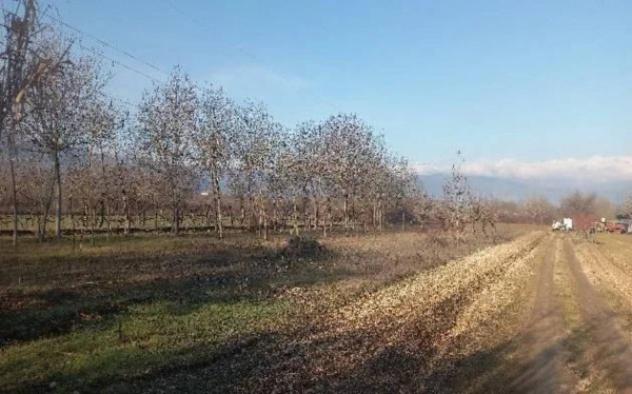 Immobile in asta di 72 m² in vendita a Sulmona - Foto 2