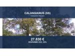 Immobile in asta di 32809 m² in vendita a Calangianus