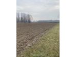 Terreno a Sant'Angelo di Piove di Sacco - Rif. SPDS16