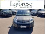 FIAT Panda 1.0 FireFly S&S Hybrid rif. 23810616
