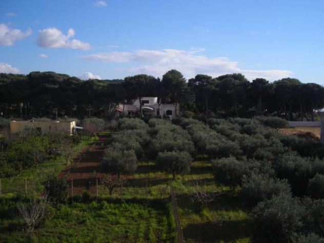 214 - In vendita a Marsala struttura in cemento, v. mare - Foto 11