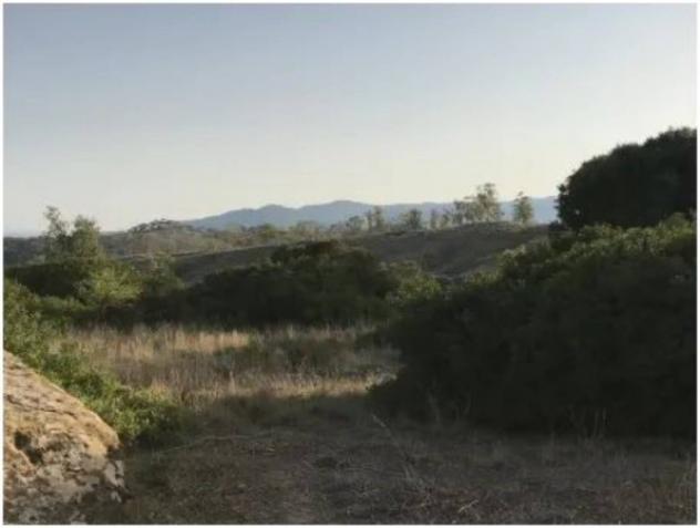Immobile in asta di 32550 m² in vendita a Ferruzzano - Foto 6