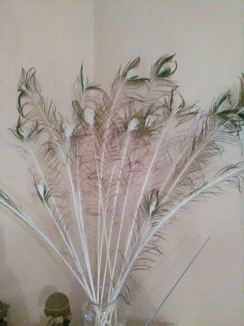 Penne di pavoni - Foto 2