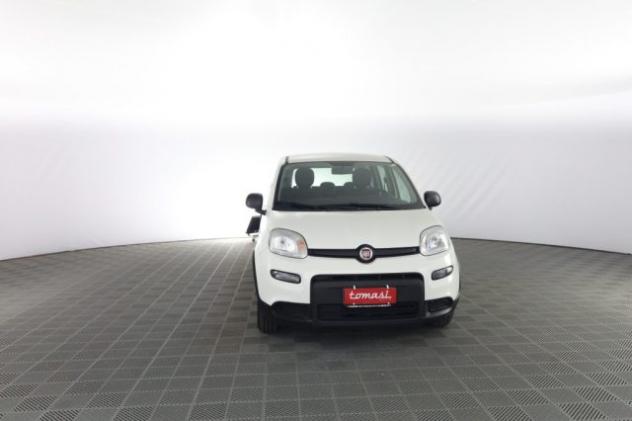 FIAT Panda Panda 1.0 FireFly S&S Hybrid rif. 23697070