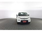 FIAT Panda Panda 1.0 FireFly S&S Hybrid rif. 23697070