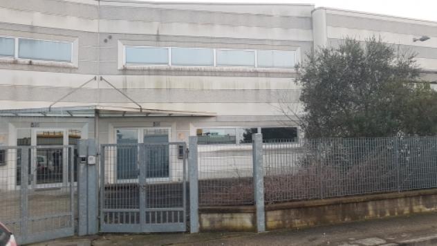 Capannone Industriale - Occhiobello . Rif.: 2017123RO - Foto 2