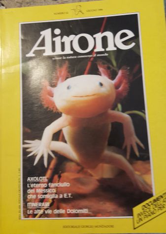 Rivista Airone