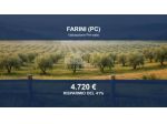 Immobile in asta di 13200 m² in vendita a Farini