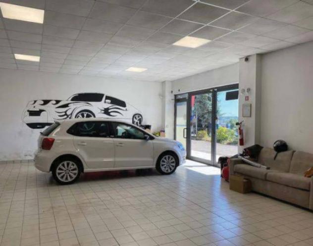 Immobile in asta di 11470 m² in vendita a Montefiascone - Foto 8