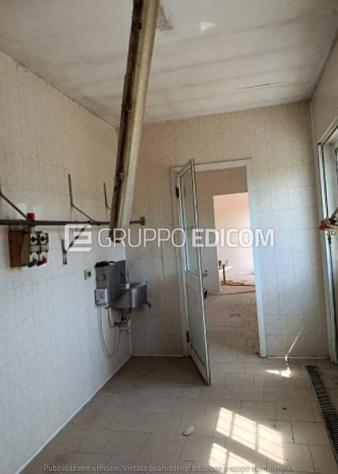 Fabbricati per attività agricole in vendita a Mortara - Rif. 4557725