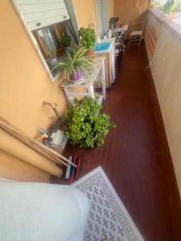 Appartamento in vendita a Marina di Carrara - Carrara 107 mq Rif: 1336572 - Foto 4