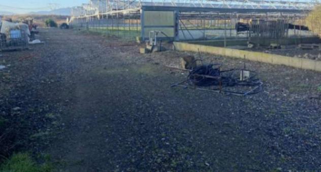 Immobile in asta di 10494 m² in vendita a Elmas - Foto 7