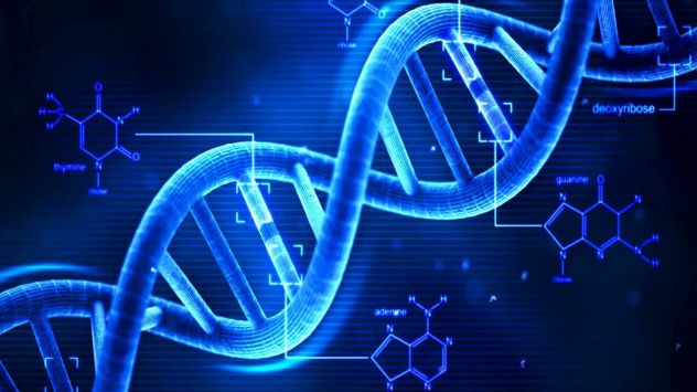 Docente per lezioni di biologia-chimica-medicina