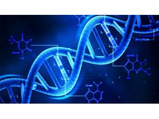 Docente per lezioni di biologia-chimica-medicina