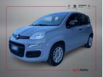 FIAT Panda 1.2 Radio Clima 5P  rif. 24105931