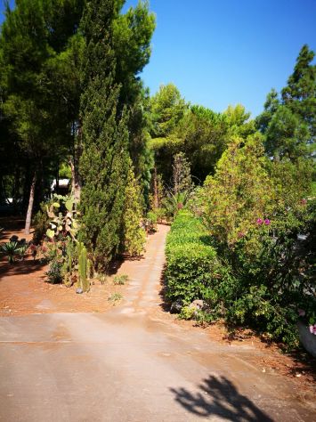 Vulcano affitta casa - Foto 8