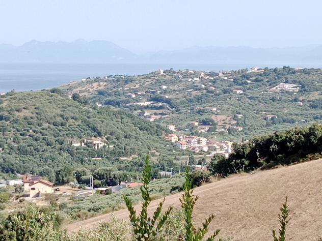 Agricolo in Via Sorrento - Foto 6