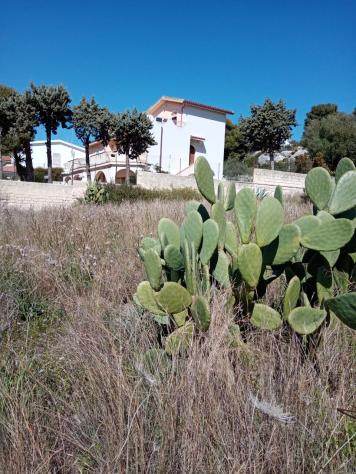 Pascolo in vendita a Siracusa