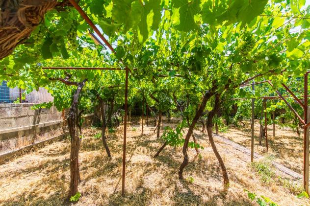 Villa singola in vendita a Mascalucia - Foto 7