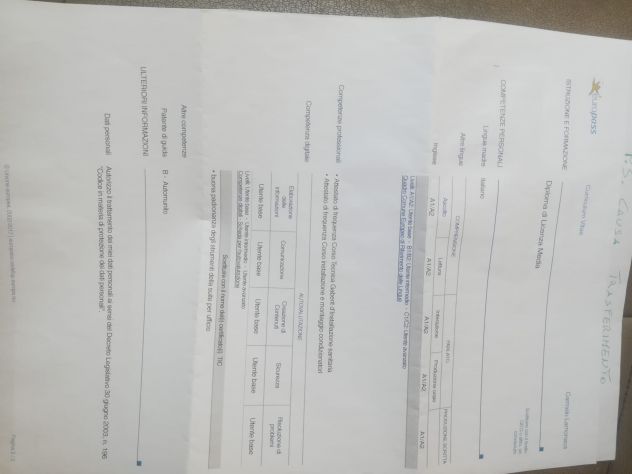 Cerco lavoro