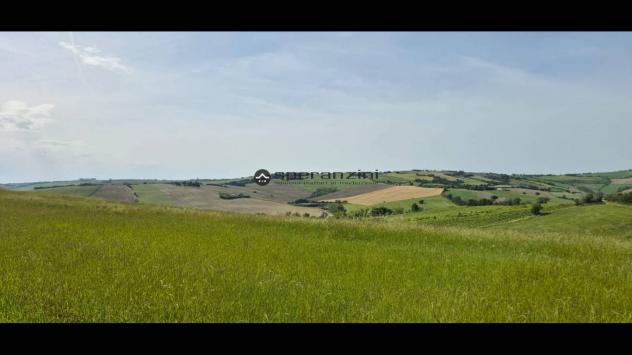 San costanzo proponiamo in vendita azienda agricola di circa 18 ettari. il terreno gode di un'ottima esposizione ed è facilmente raggiungibile dalle p - Foto 3