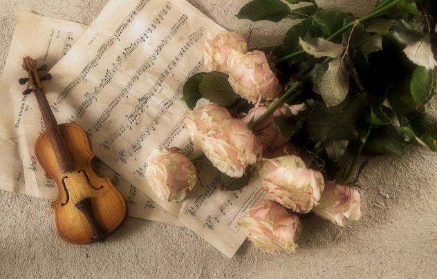 Violinista a Como