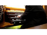 Organista a Piacenza