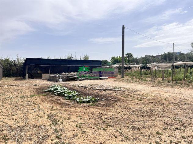 TERRENO AGRICOLO