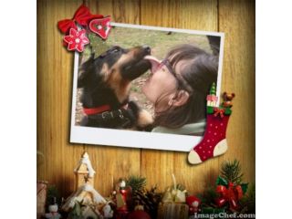 YAGO, un coccolone in cerca d'amore