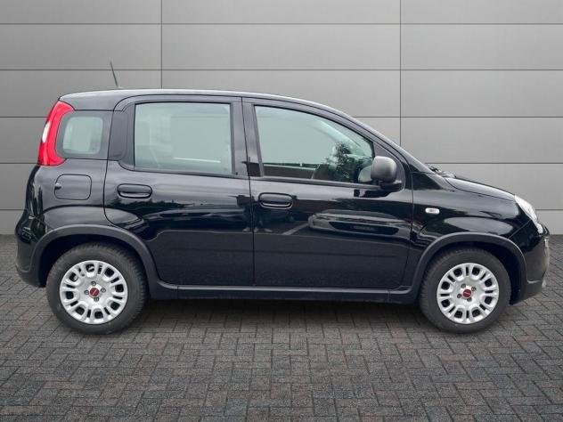 FIAT Panda 1.0 FireFly 70cv S&S Hybrid - Foto 3