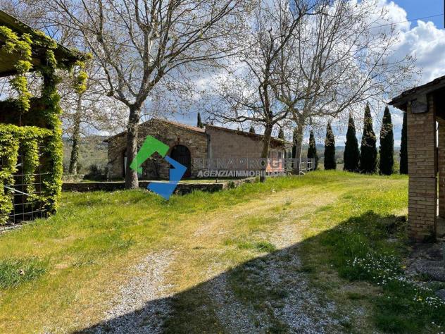 Antica colonica con azienda agricola a Castellina in Chianti, Siena. - Foto 18