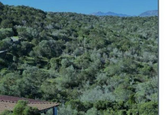 Immobile in asta di 12390 m² in vendita a Olbia - Foto 6