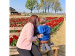 Chiara cerca una babysitter - lavoro da babysitter a Bergamo