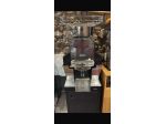 SPREMIAGRUMI AUTOMATICA (ZUMEX) SEMINUOVA