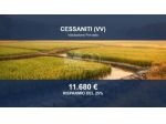 Immobile in asta di 7030 m² in vendita a Cessaniti