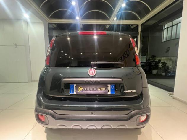 FIAT Panda 1.0 FireFly S&S Hybrid City Cross rif. 24077231 - Foto 3