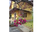 Villa in vendita a Falorni - Santa Maria a Monte 190 mq  Rif: 1414742